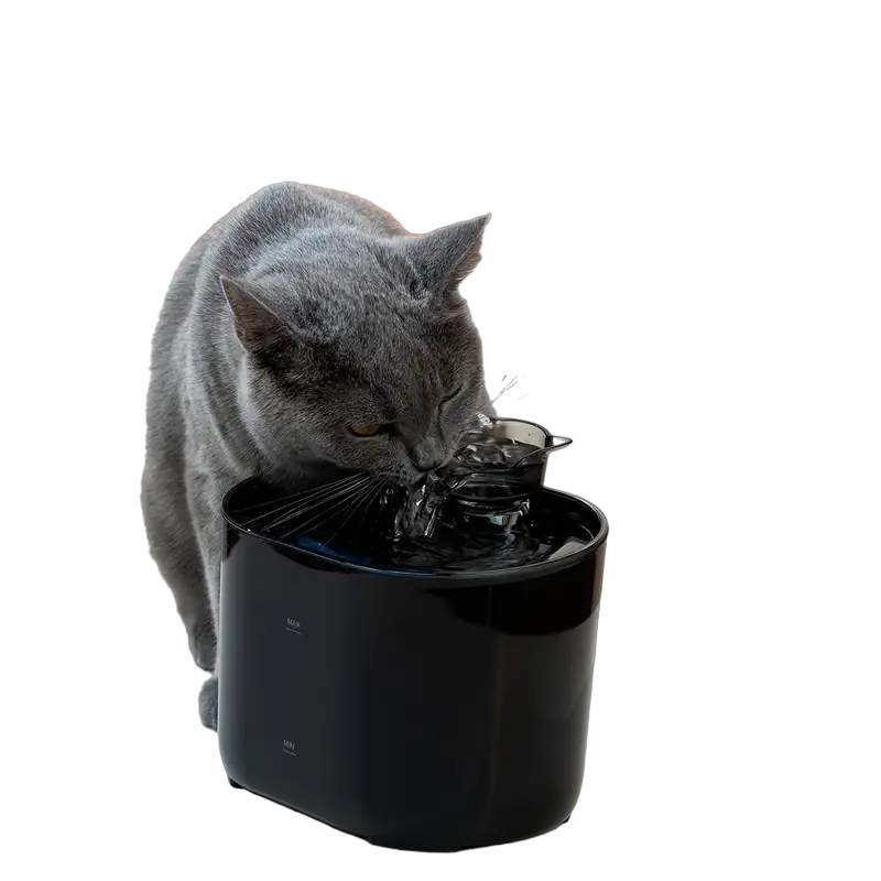 SmartFlow 2.2L USB Pet Water Fountain | Black
