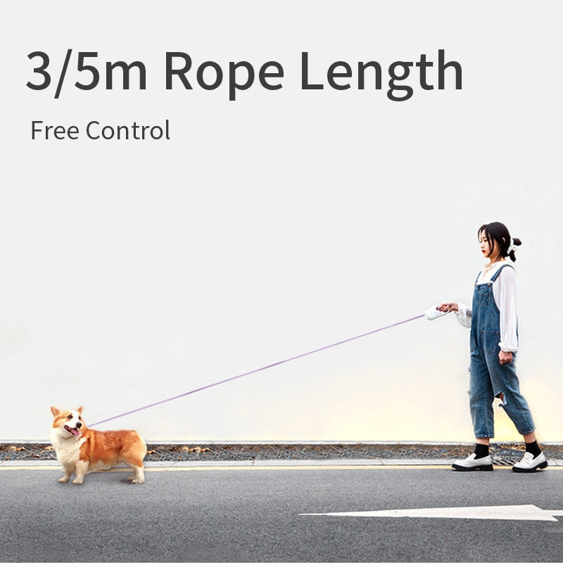 GlowLead Automatic Retractable Dog Leash with LED